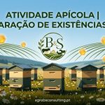 ATIVIDADE APÍCOLA | DECLARAÇÃO DE EXISTÊNCIAS 2026